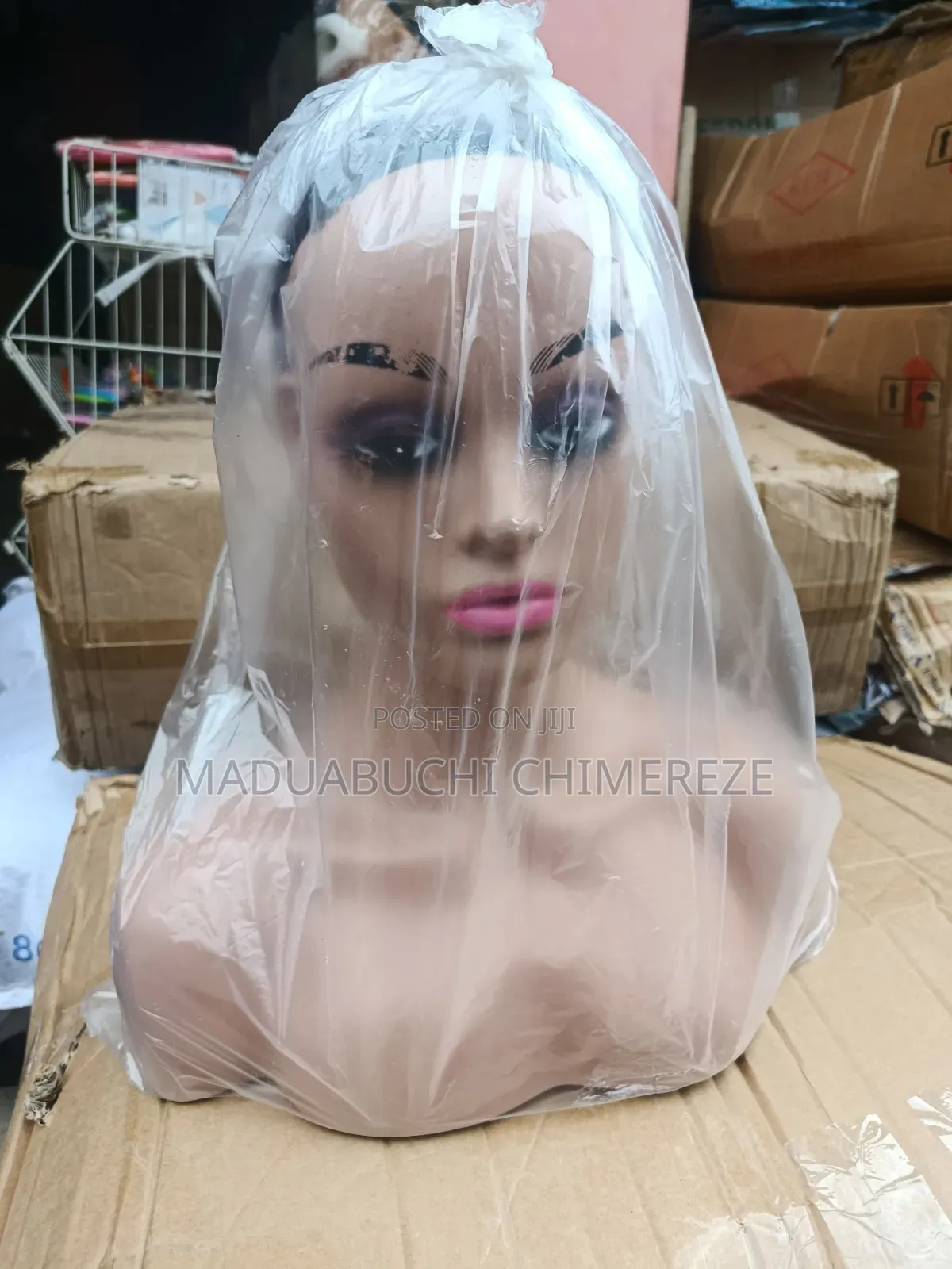 Local Female Cosmetology Training Mannequin Head With Shoulders