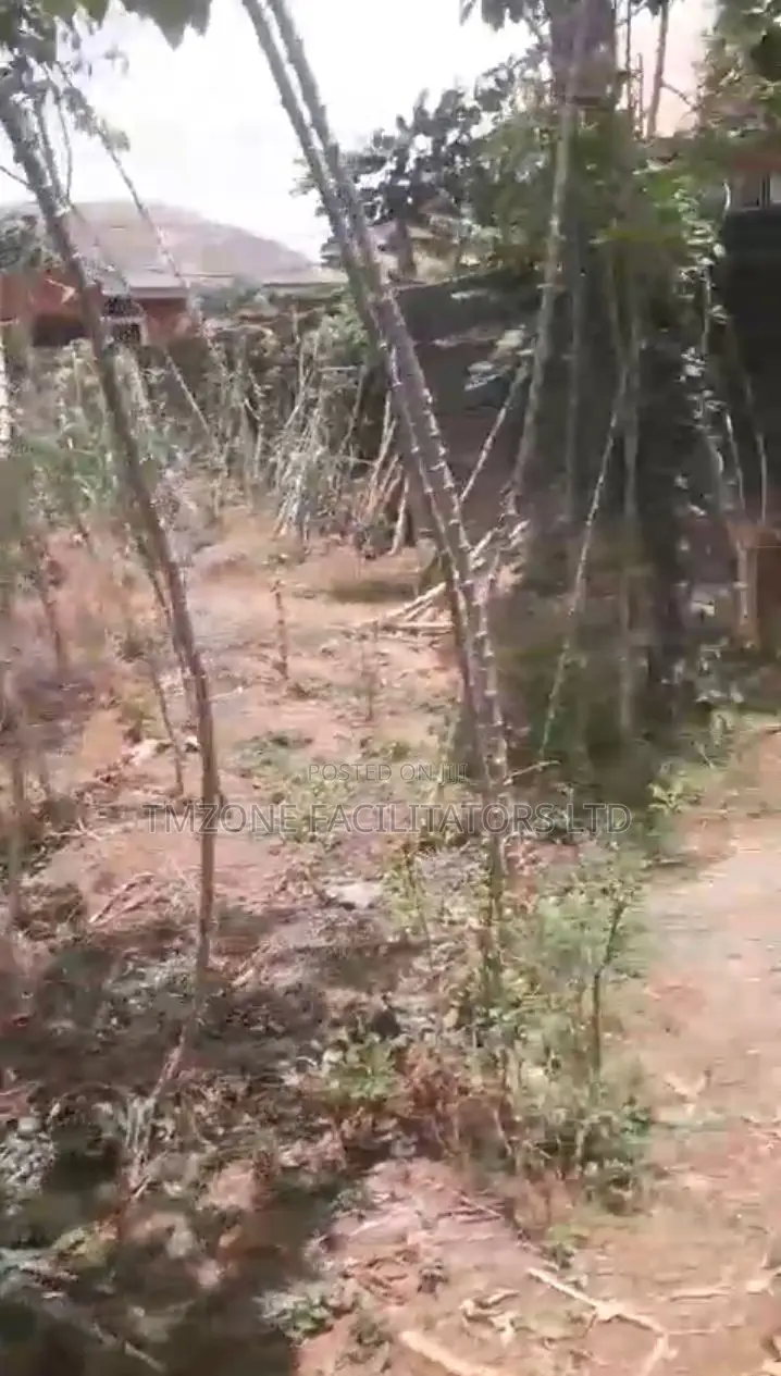 Half Plot of Land at Abule Odu