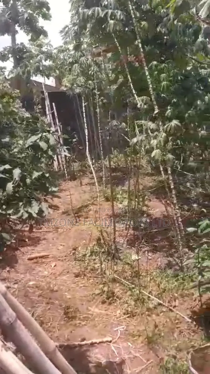 Half Plot of Land at Abule Odu