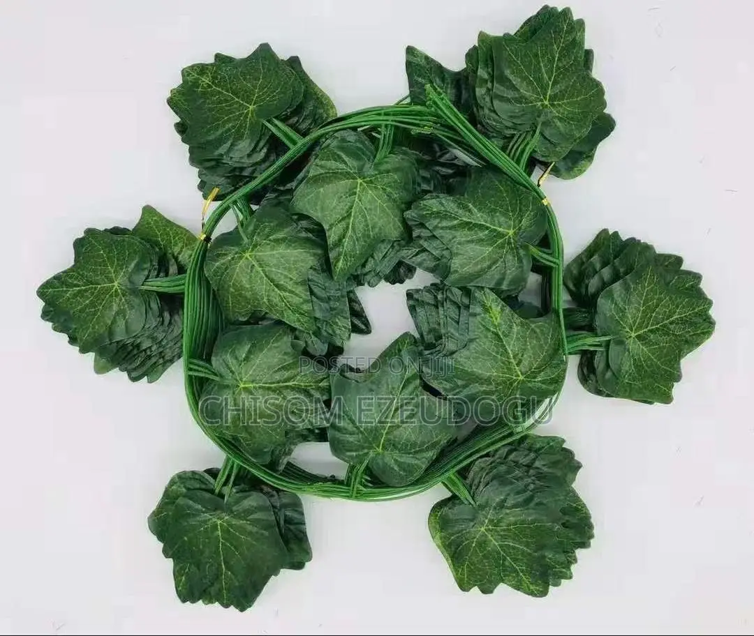 Green Leave Dropping Flowers