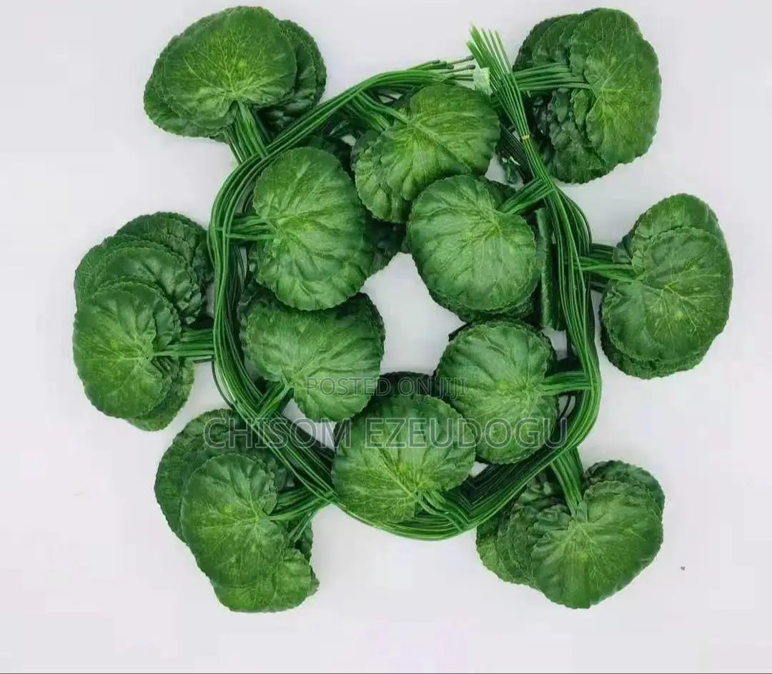 Green Leave Dropping Flowers