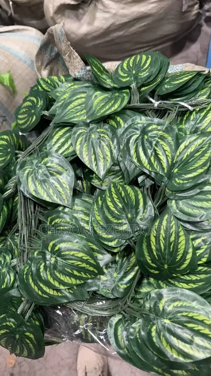 Green Leave Dropping Flowers