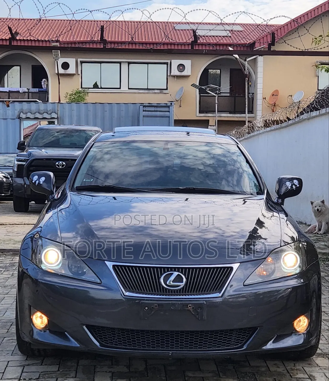 Lexus IS 2008 Gray