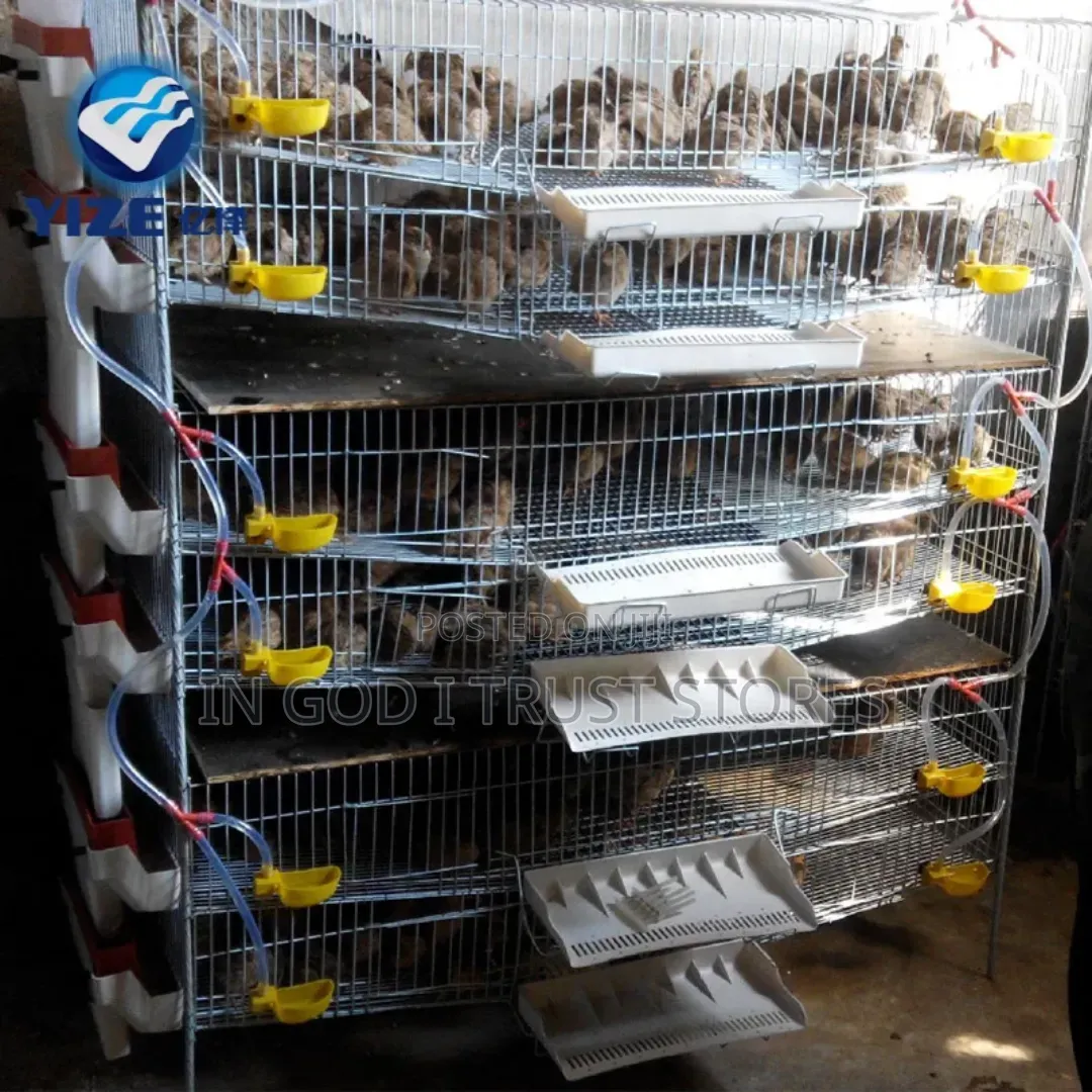 5 Tiers 360 Quail Cage With Feeder Drinker Manure