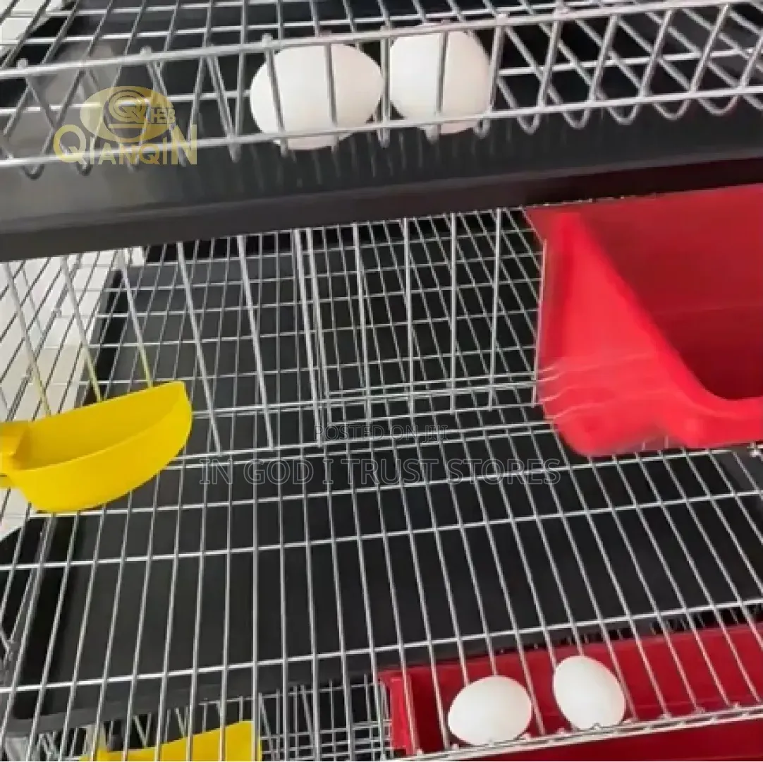 5 Tiers 360 Quail Cage With Feeder Drinker Manure