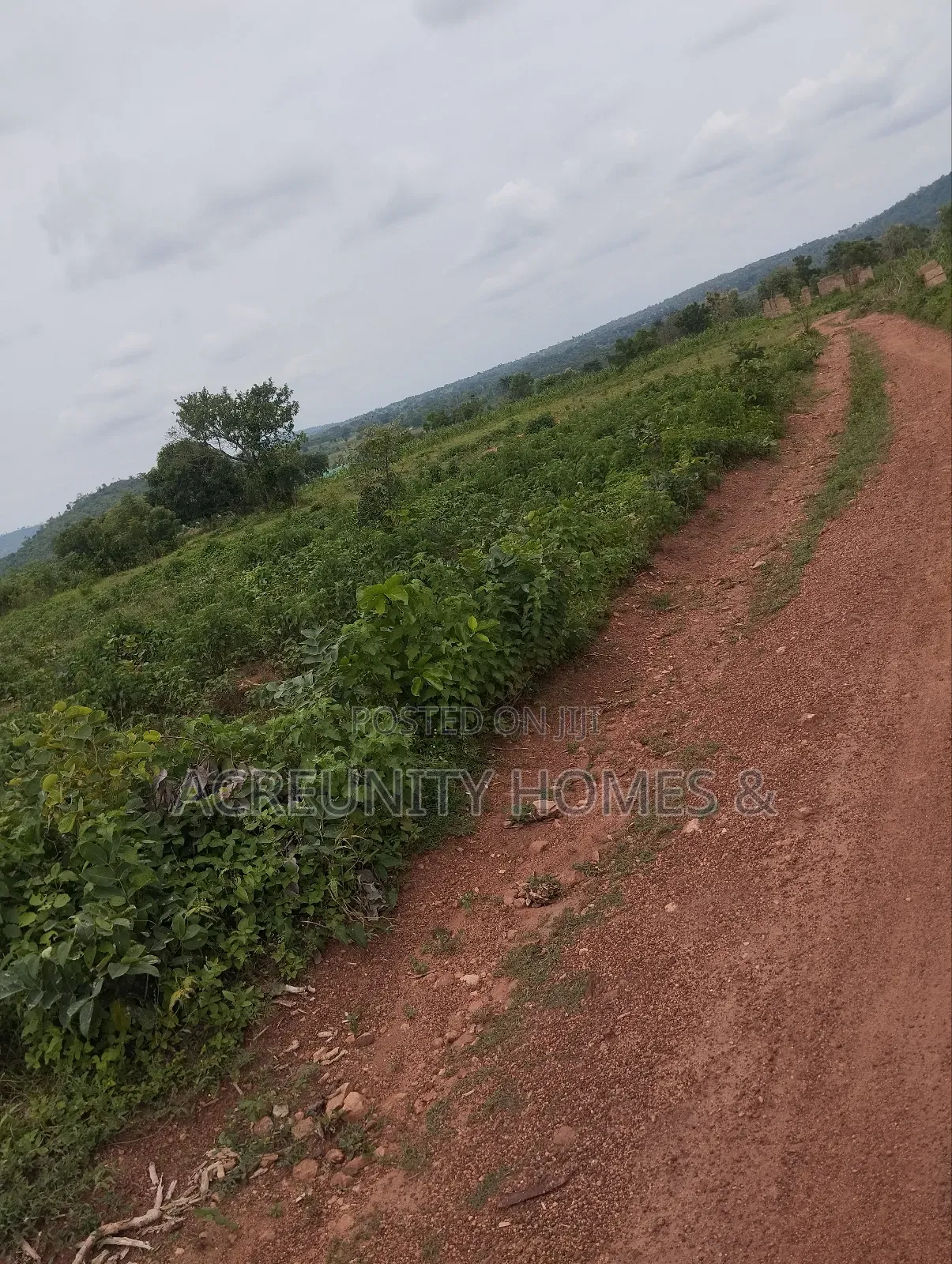 400 Acres of Farmland Available at Adekola, Ado Awaye, Iseyin Lg