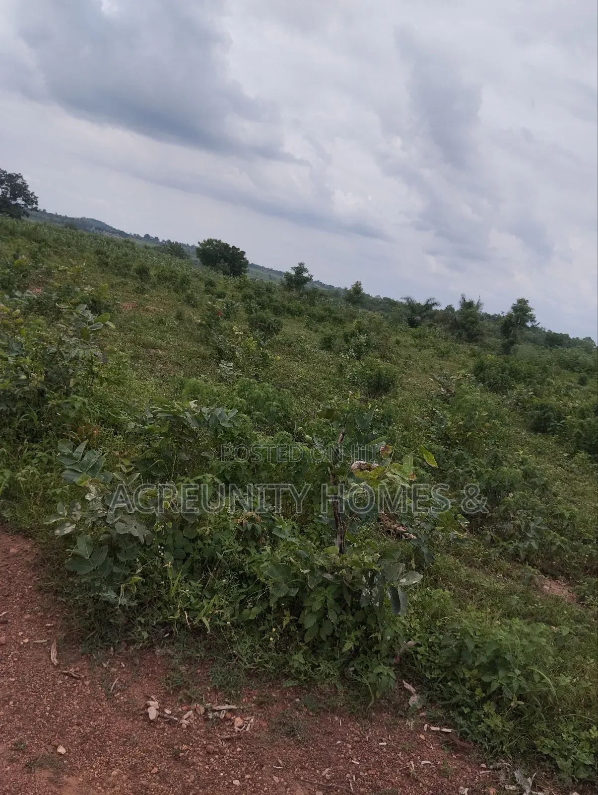 400 Acres of Farmland Available at Adekola, Ado Awaye, Iseyin Lg