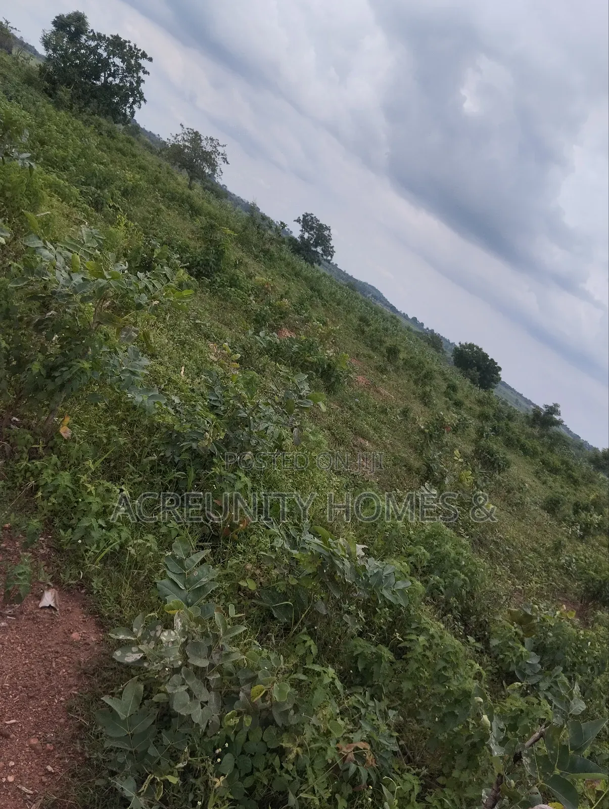 400 Acres of Farmland Available at Adekola, Ado Awaye, Iseyin Lg