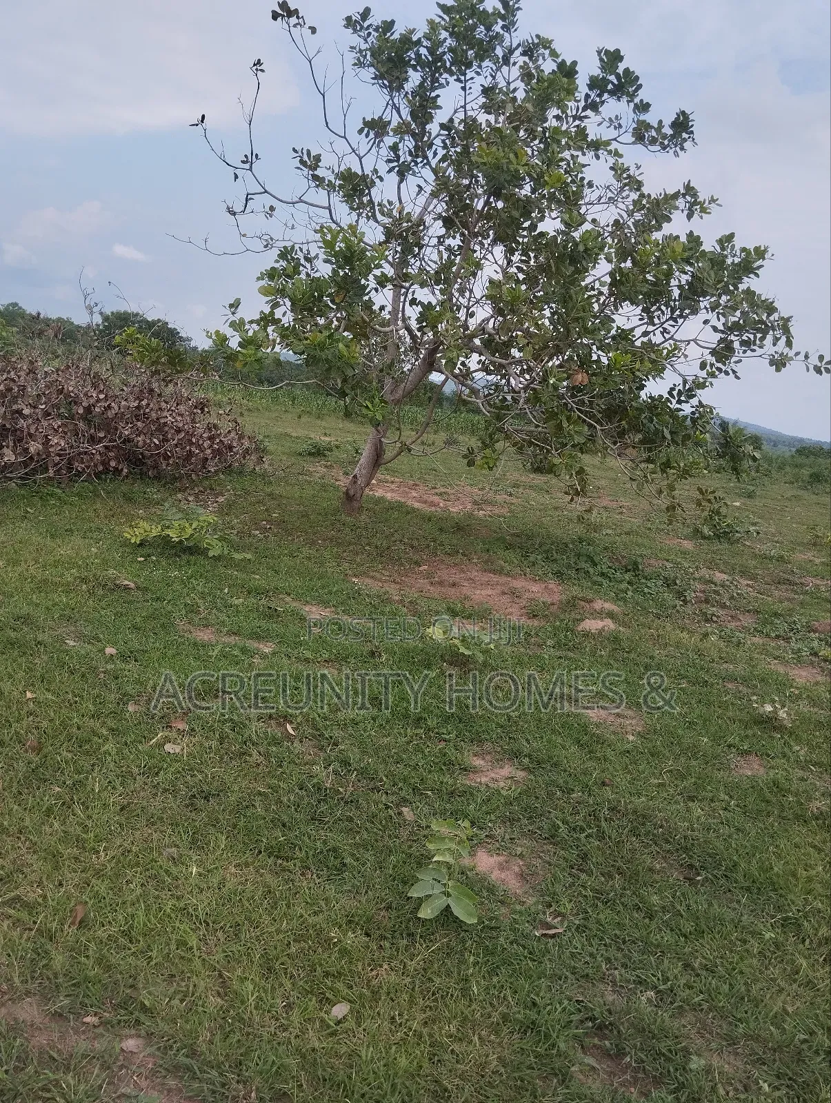 2000 Acres of Fertile Farmland Available at Olodo Anigbado, Abeokuta