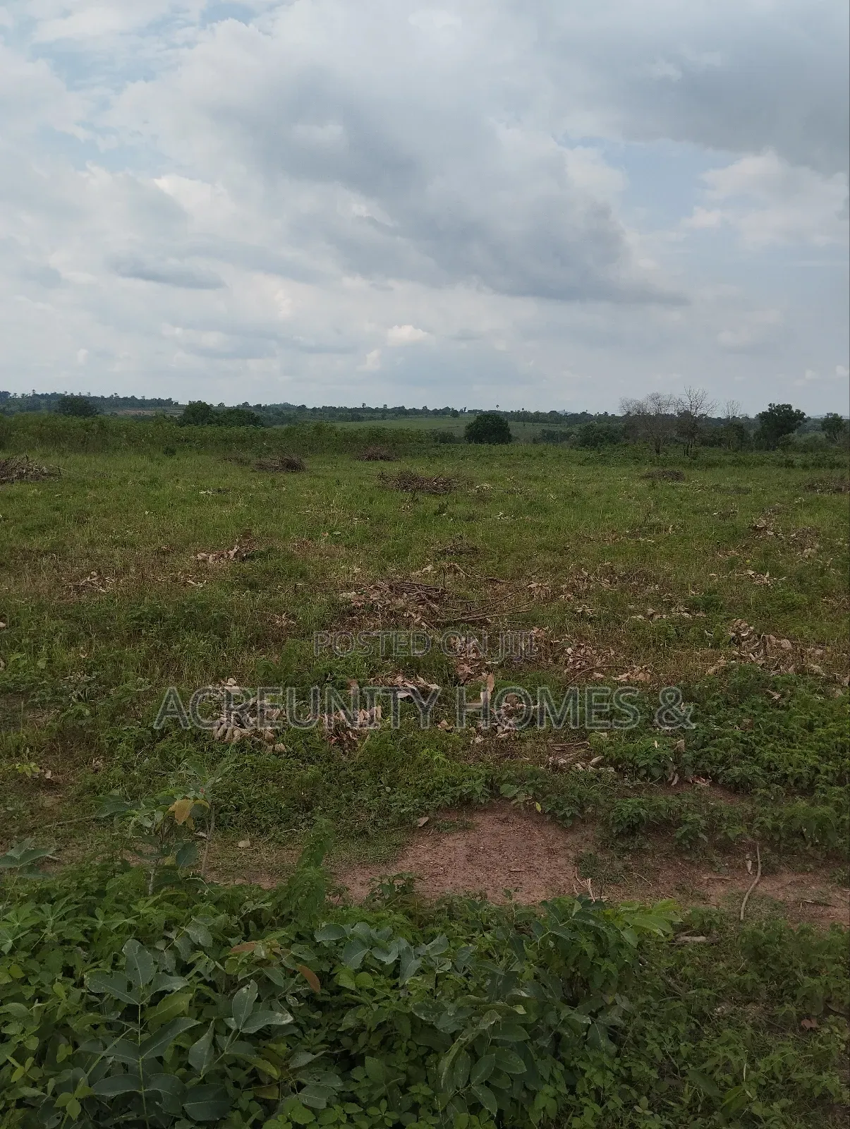 2000 Acres of Fertile Farmland Available at Olodo Anigbado, Abeokuta