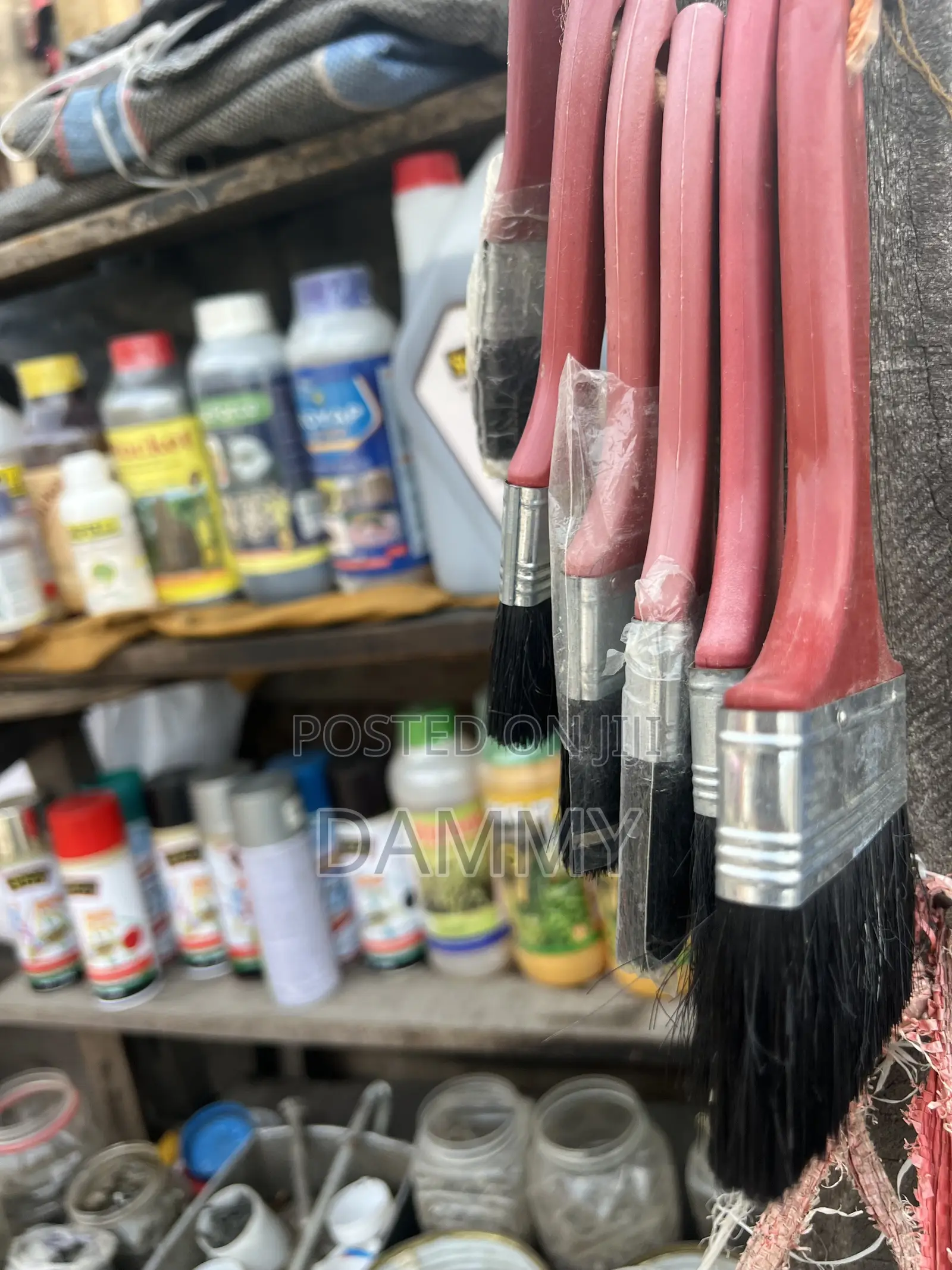 Paint Brushes
