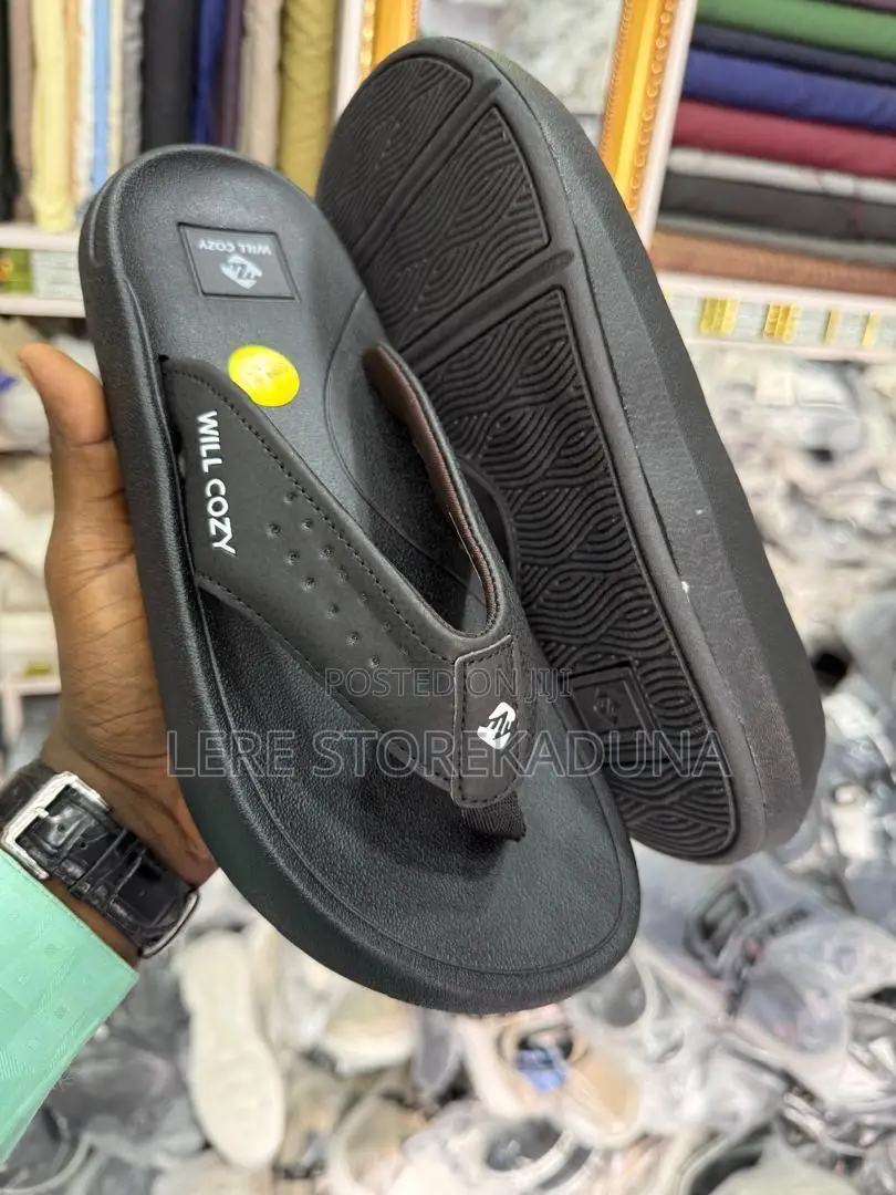 Original Wilcozy Palm Available