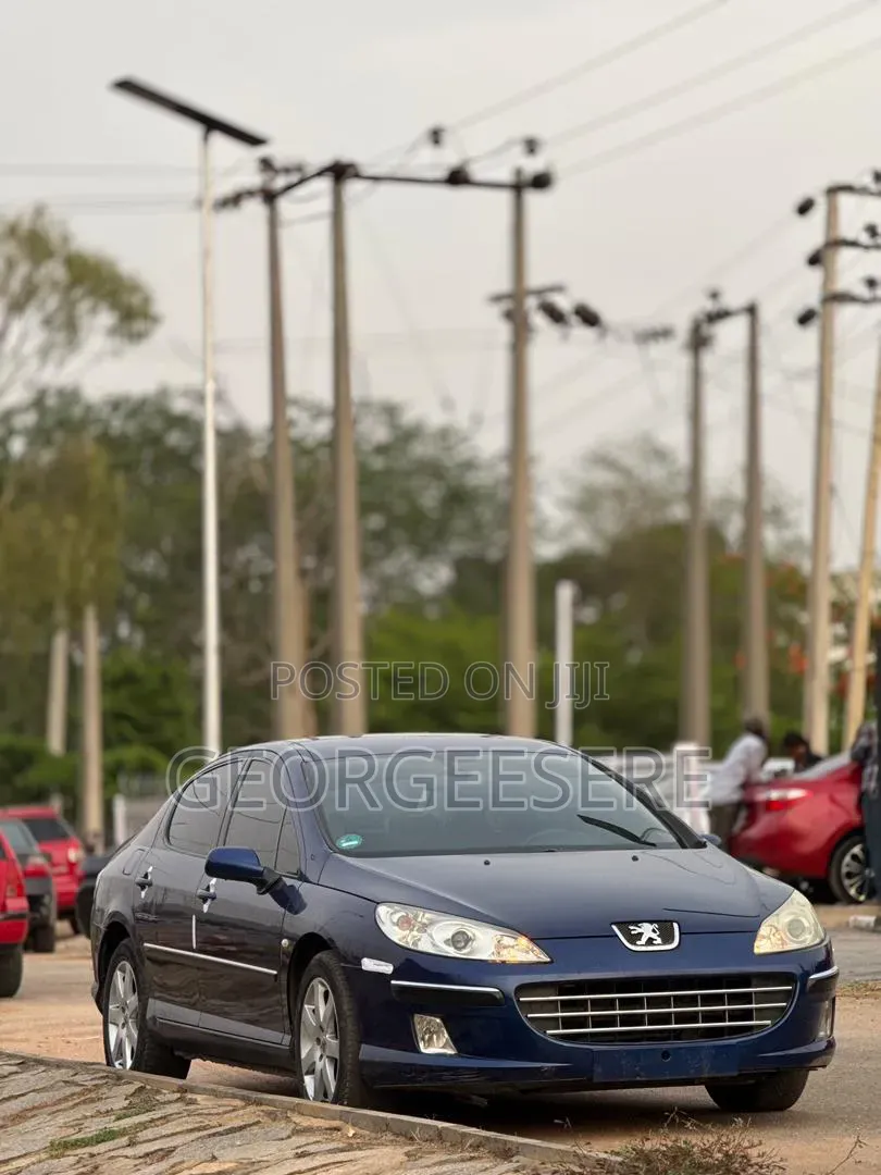 Peugeot 407 2007 Blue