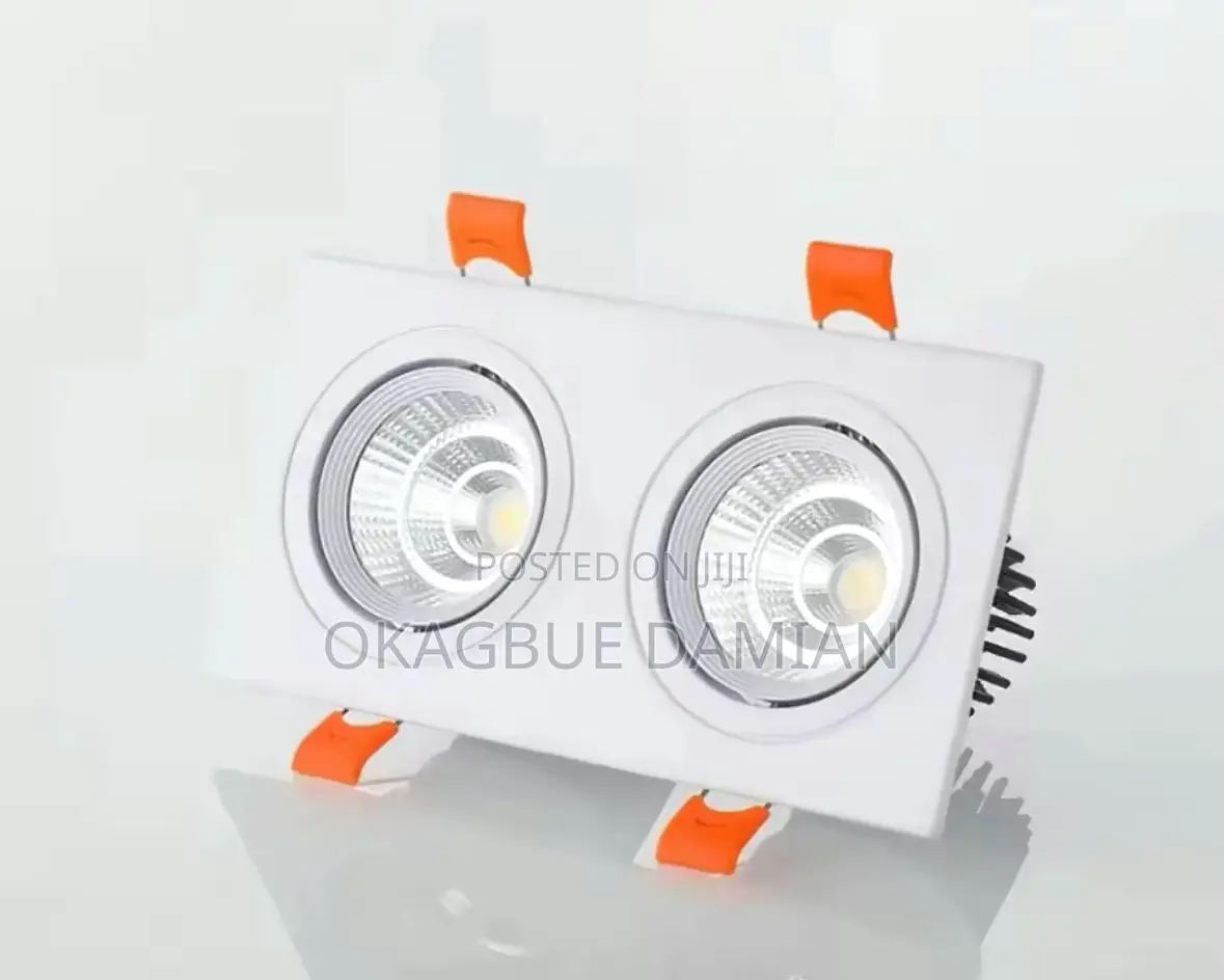 Double Cob Light