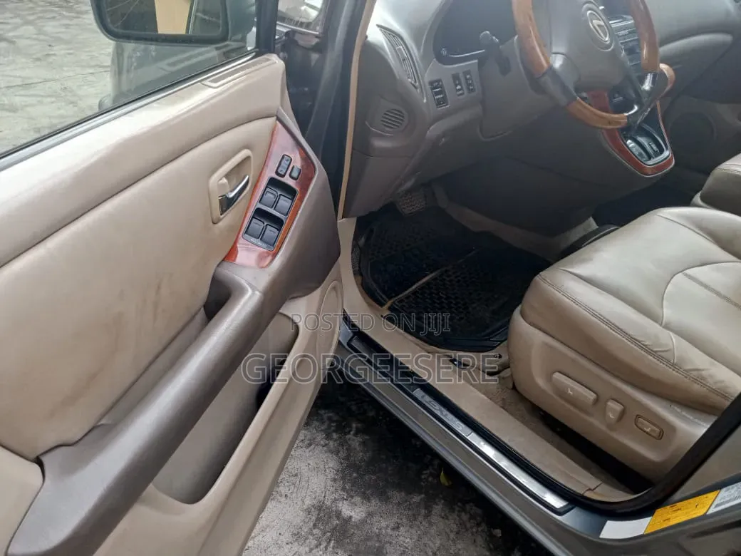 Lexus RX 2003 Gray