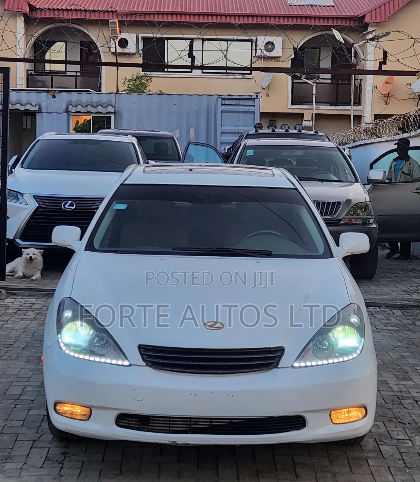 Lexus ES 300 2003 White
