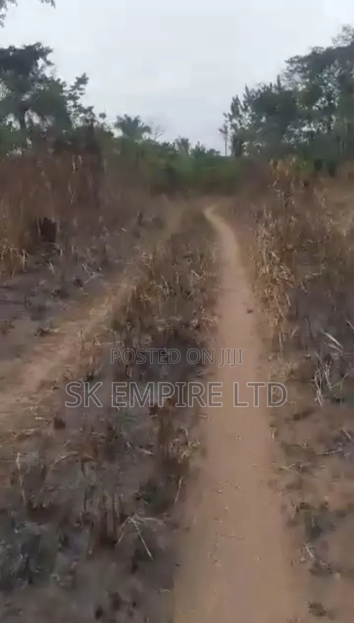 98 Plots of Land Fully Surveyed and Registered