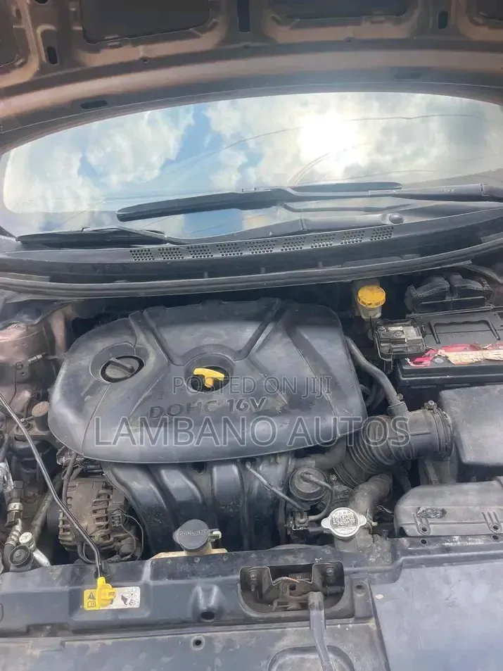 Hyundai Elantra 2013 Brown