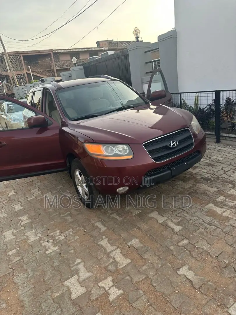 Hyundai Santa Fe 2010 Maroon