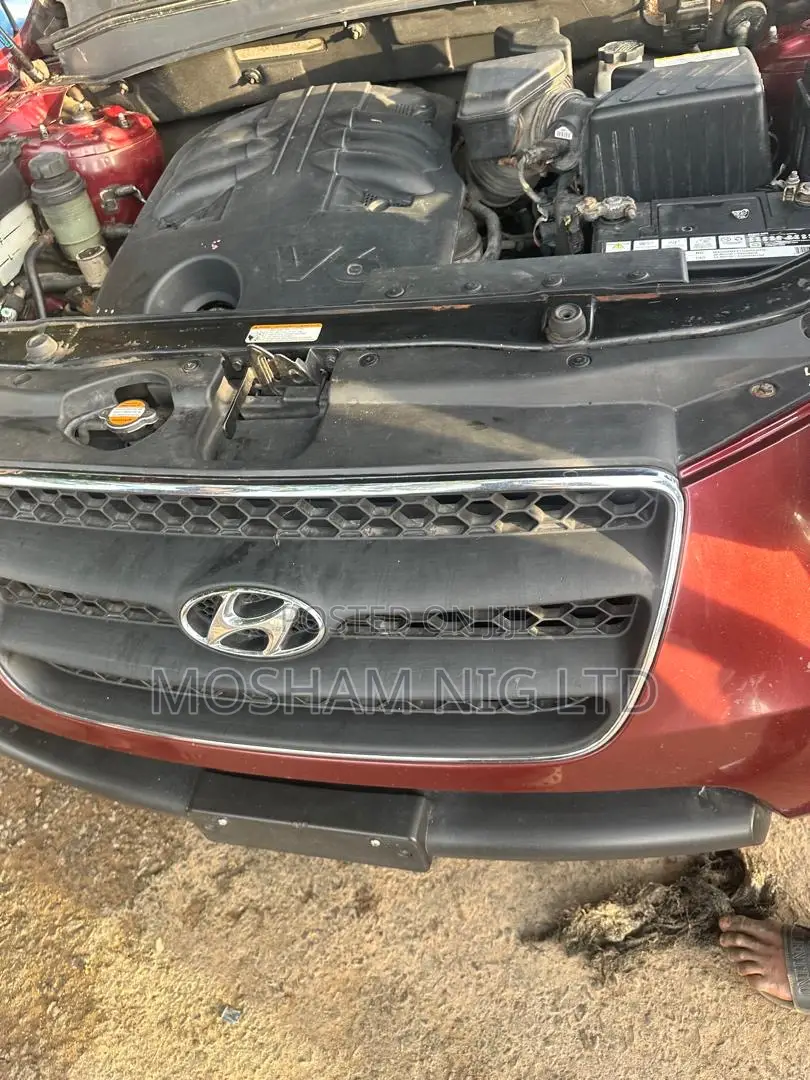 Hyundai Santa Fe 2010 Maroon