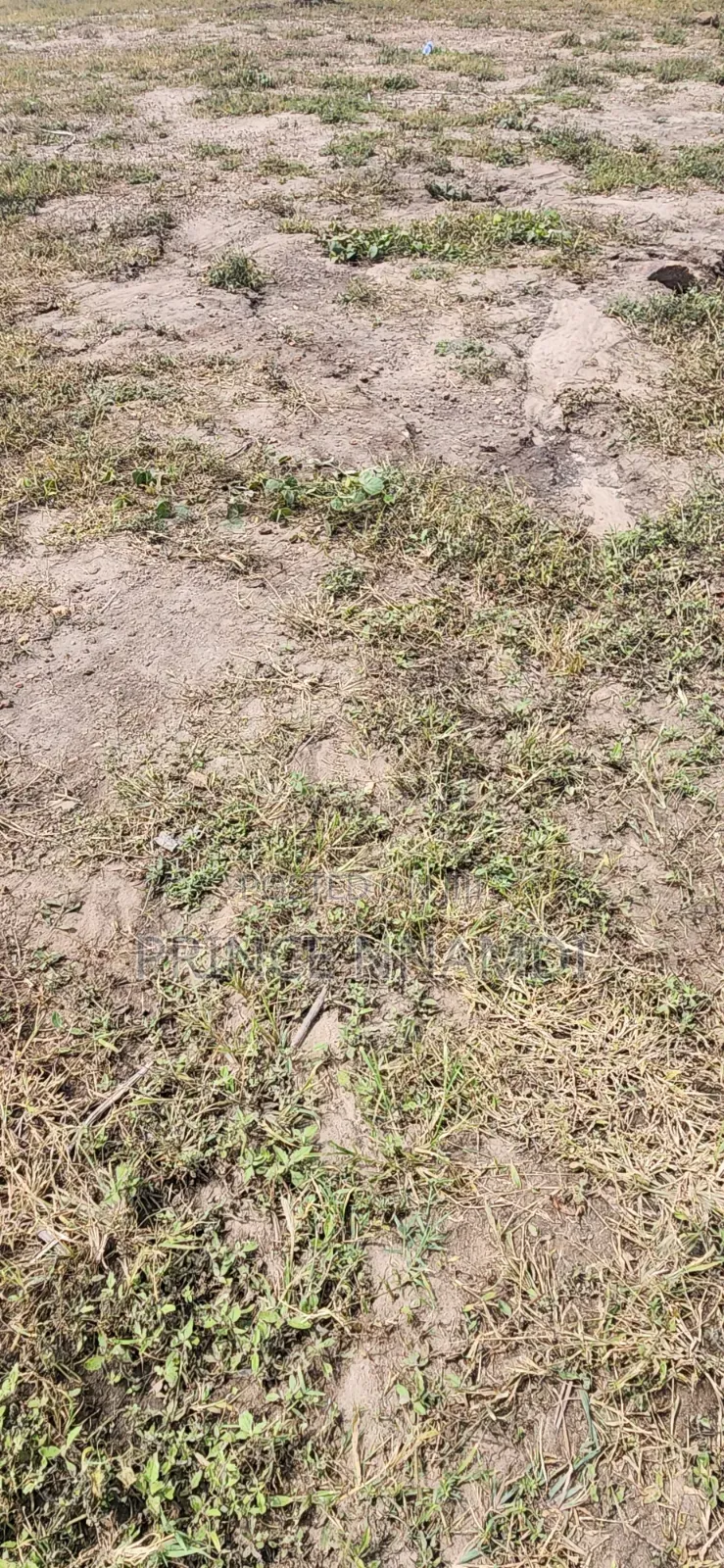 Prime Residential Land for Sale at Apo,Abuja