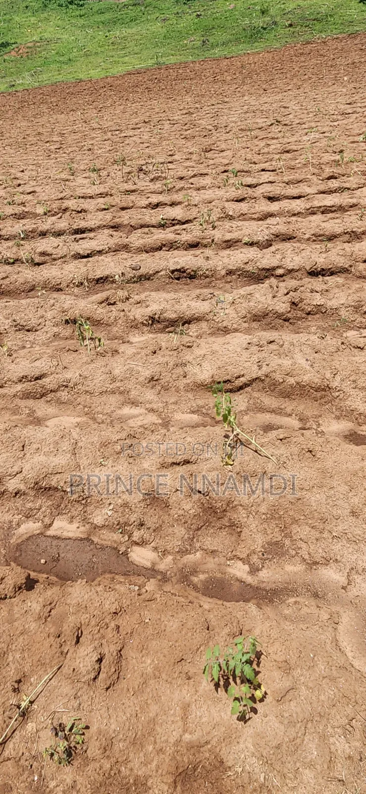 Spacious Residential Plot for Sale in Apo