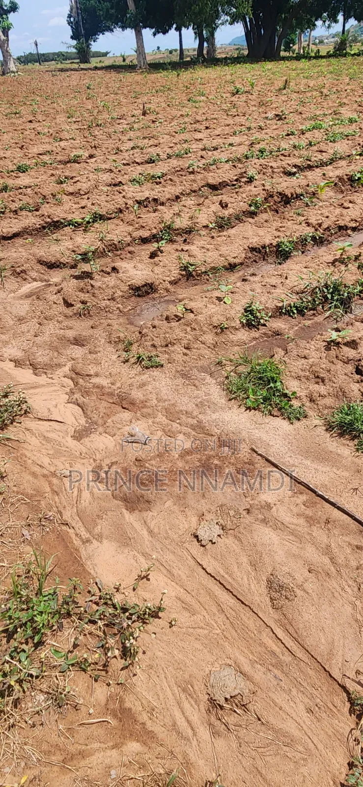 Spacious Residential Plot for Sale in Apo