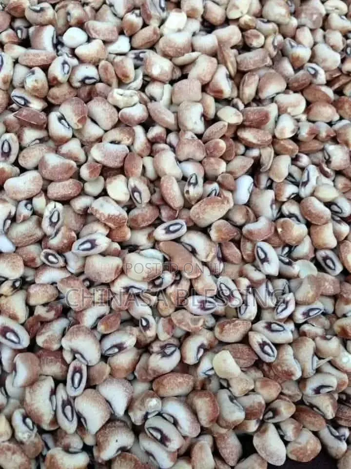 Bag Of Honey Beans