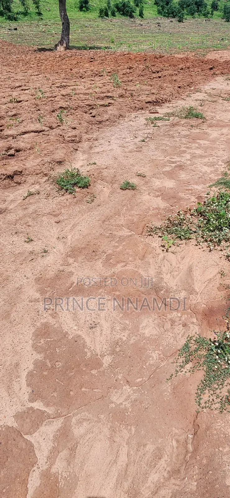 Prime Land for Sale in Apo District