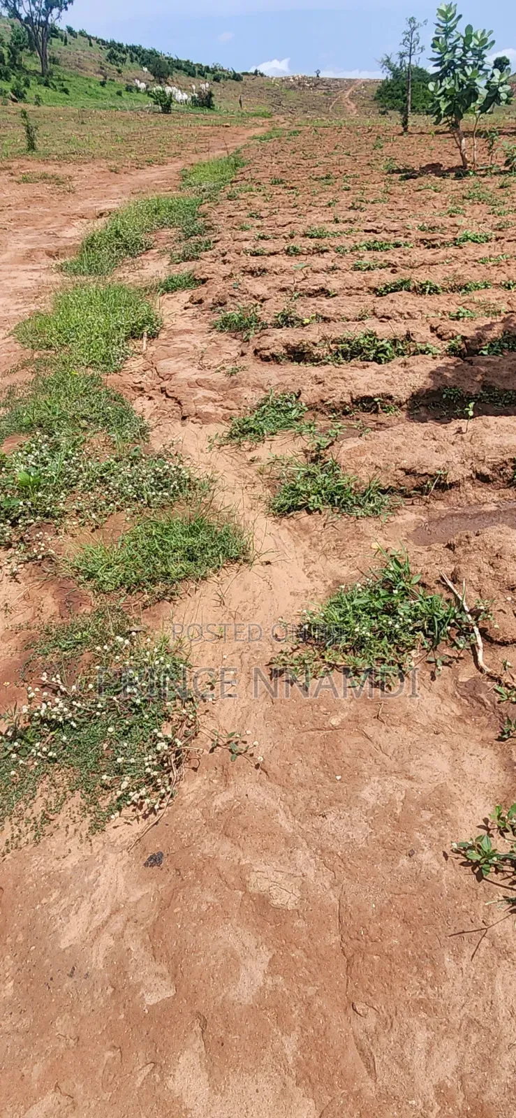 Prime Land for Sale in Apo District