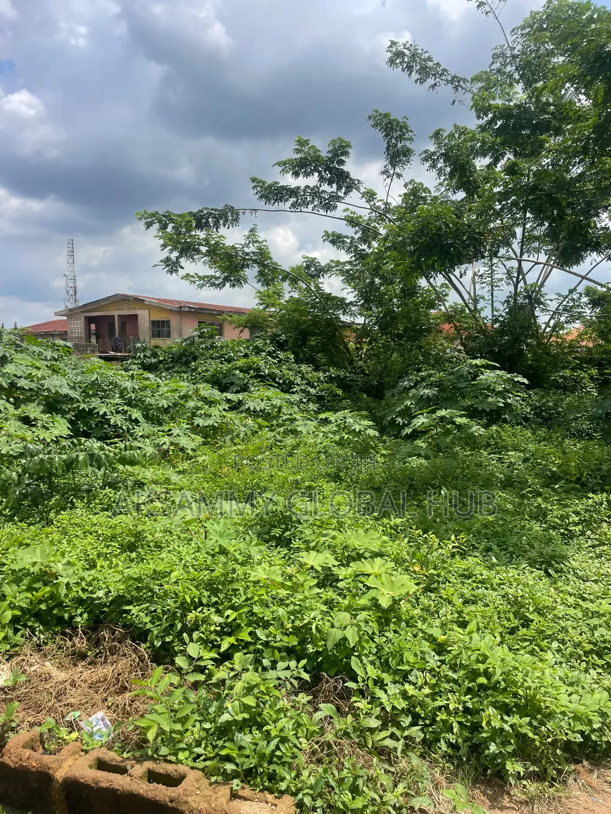 Two Plot of Land for Sale at Ojoo Ibadan