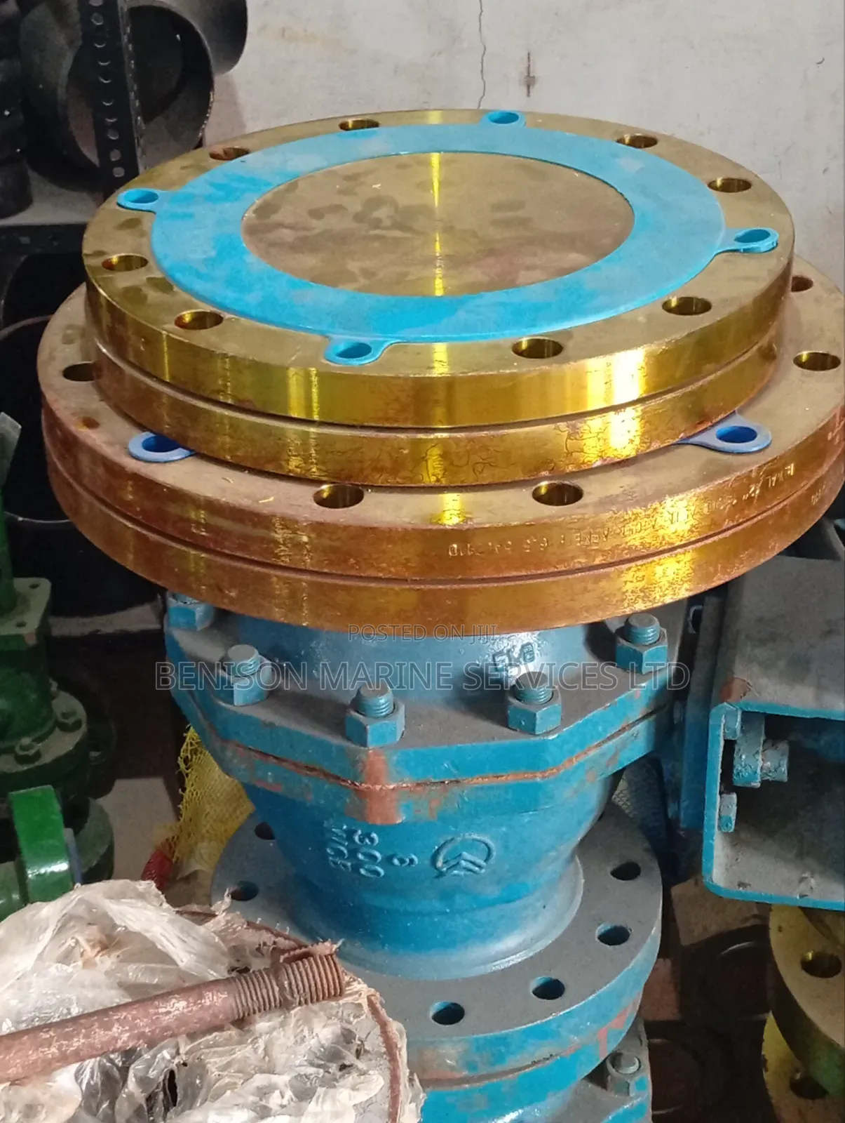 10"X300 Blind Flange
