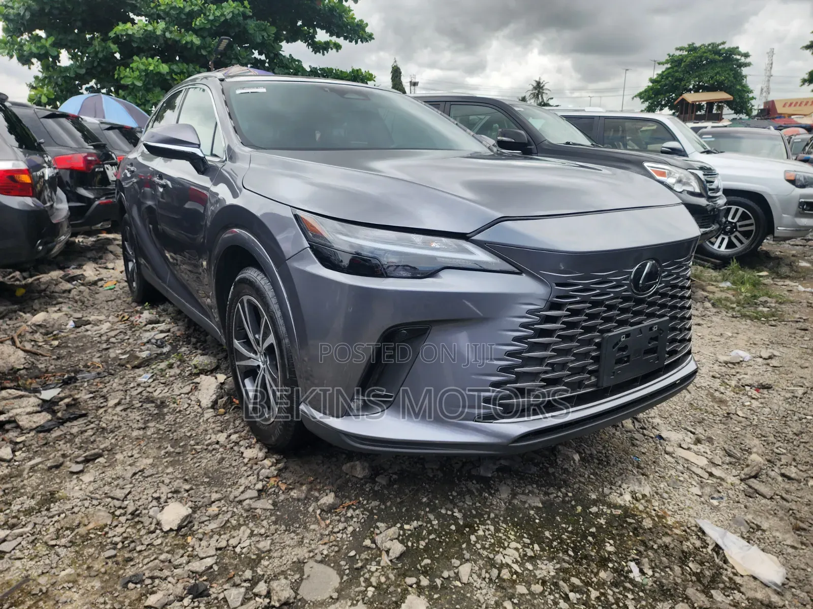 Lexus RX 2024 Gray