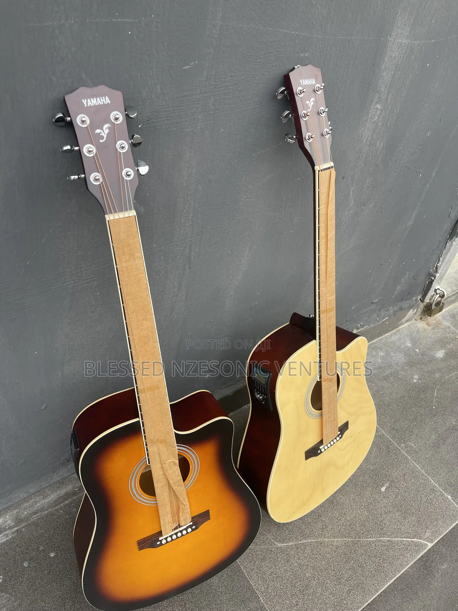 Semi Acoustic Guitar