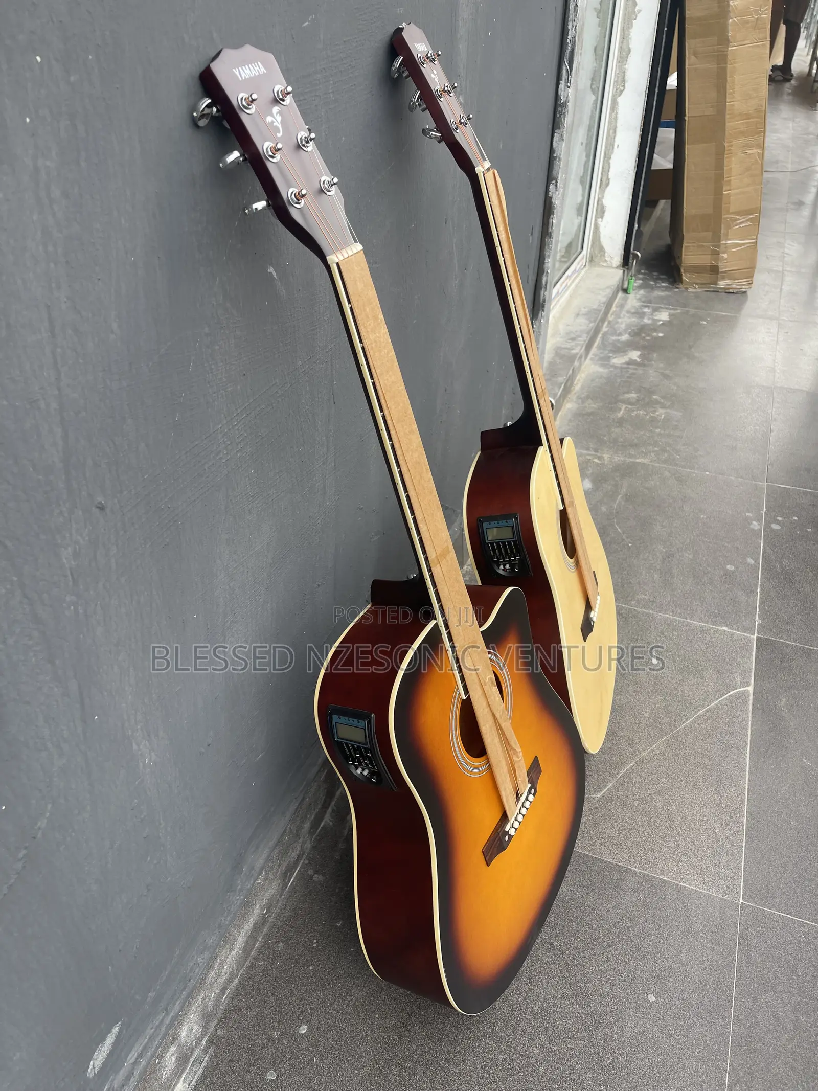 Semi Acoustic Guitar