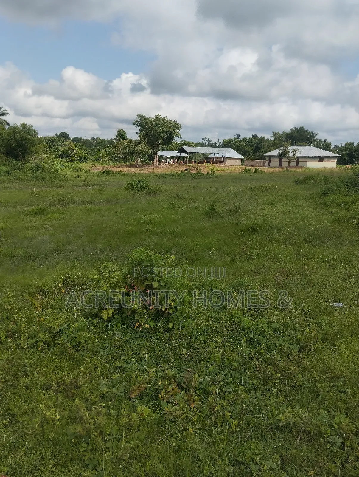 400 Acres of Agricultural Farmland for Sale, Adekola Village, Adoawaye