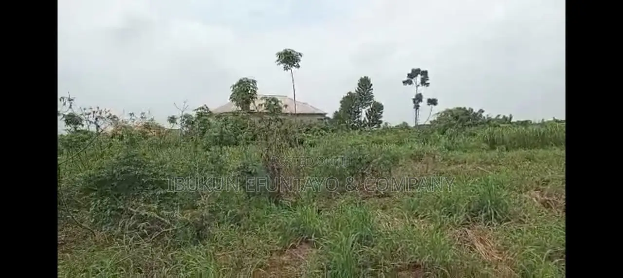 Land for Sale Directly on Shimawa Road