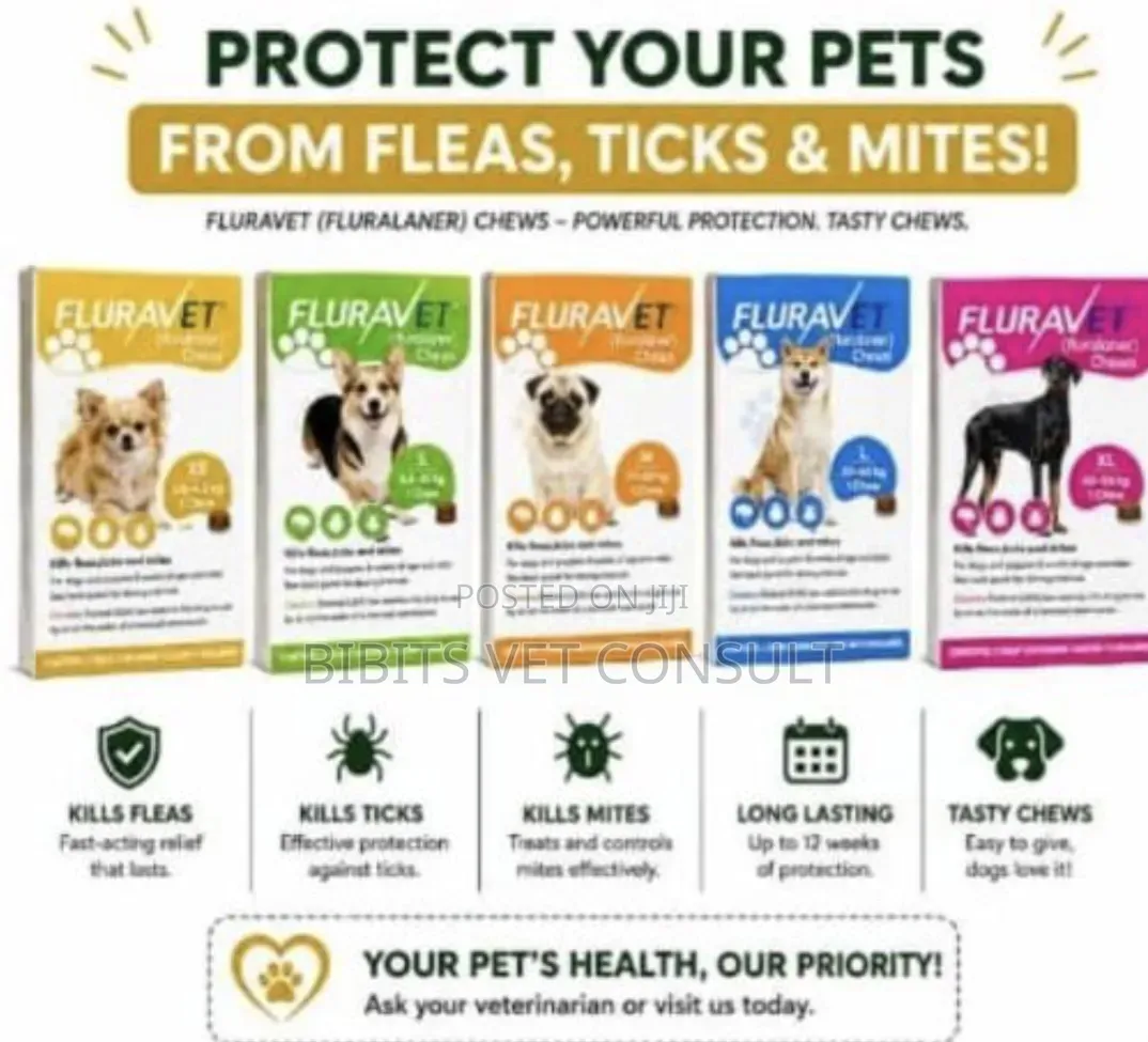 Cheap Fluralaner Anti-Ticks Chew Tablet for Dogs (12 Weeks)