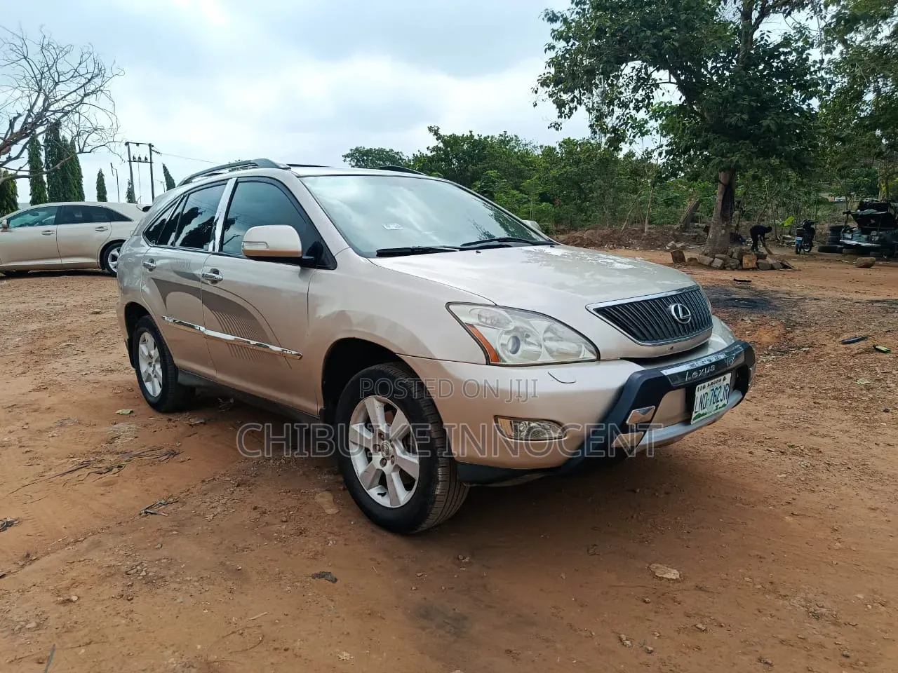 Lexus RX 2005 Gold