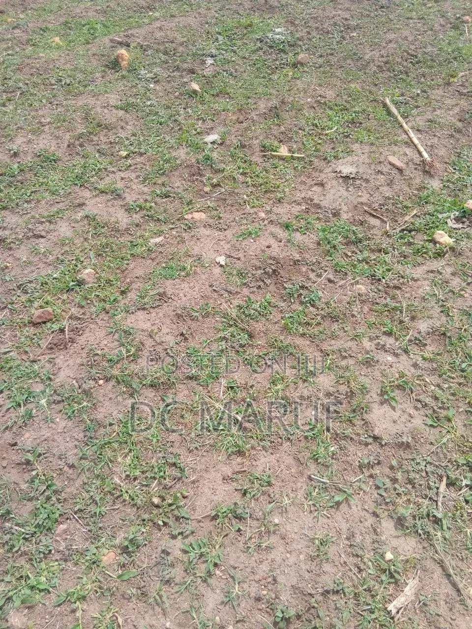 Plots of Land Lokogoma