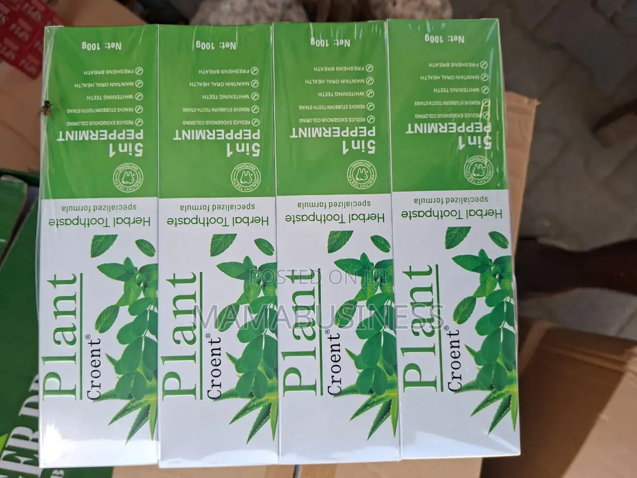 5 in 1 Peppermint Plant Croent Herbal Toothpaste - 100g