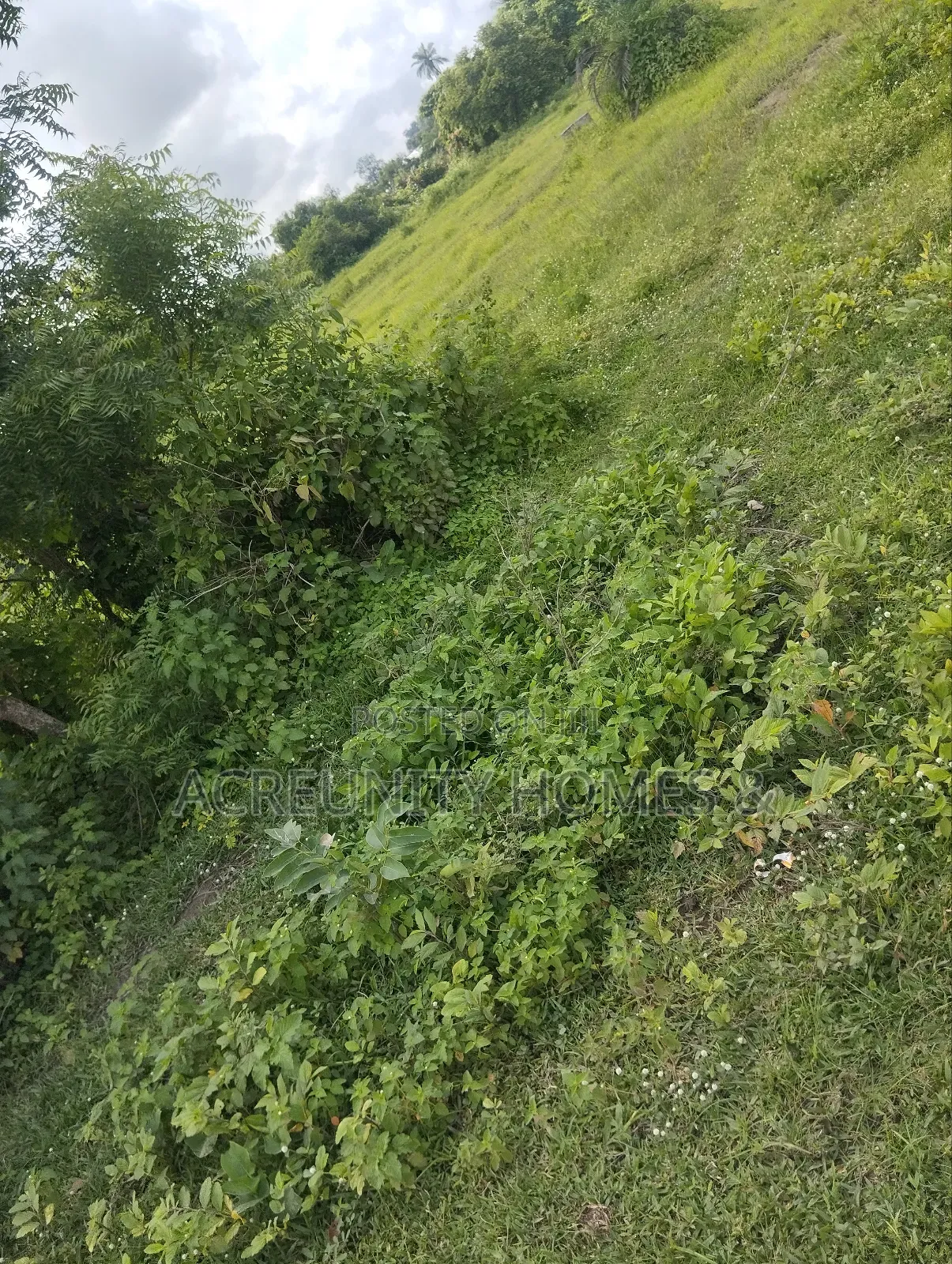 4000acres of Fertile Farmland for Sale at Komu, Itesiwaju Lg Oyo State