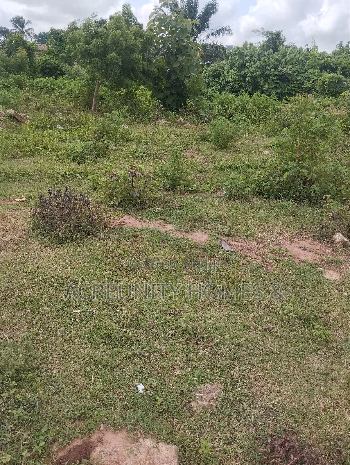 4000acres of Fertile Farmland for Sale at Komu, Itesiwaju Lg Oyo State