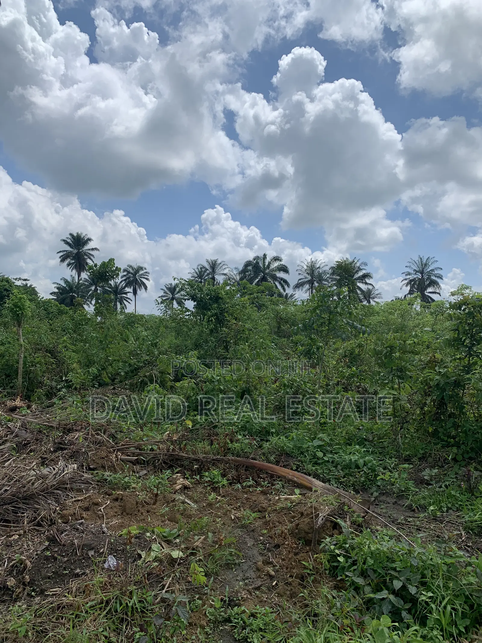 Land for Sale – Omagwa, Port Harcourt