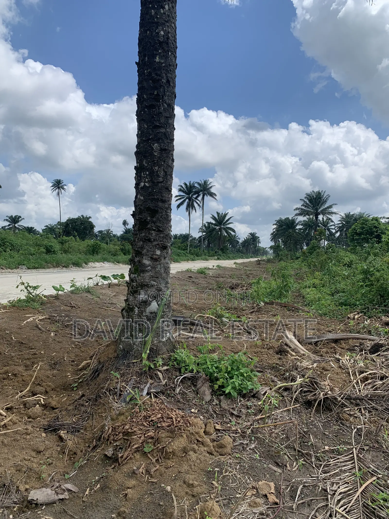 Land for Sale – Omagwa, Port Harcourt