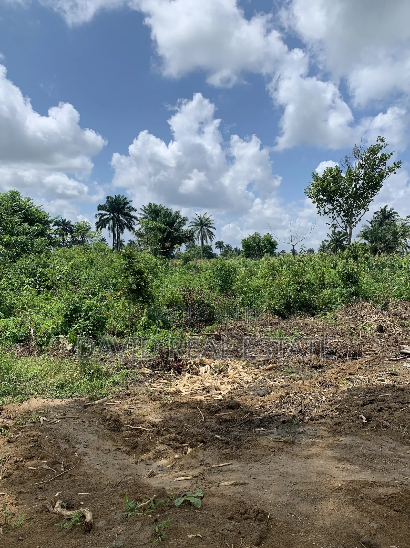 Land for Sale – Omagwa, Port Harcourt