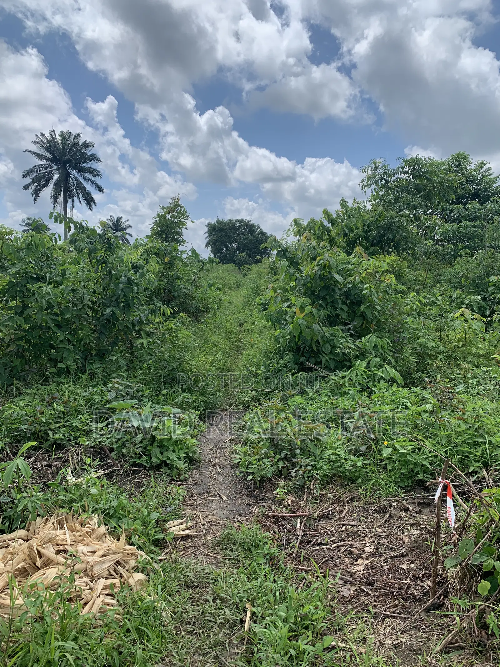 Land for Sale – Omagwa, Port Harcourt