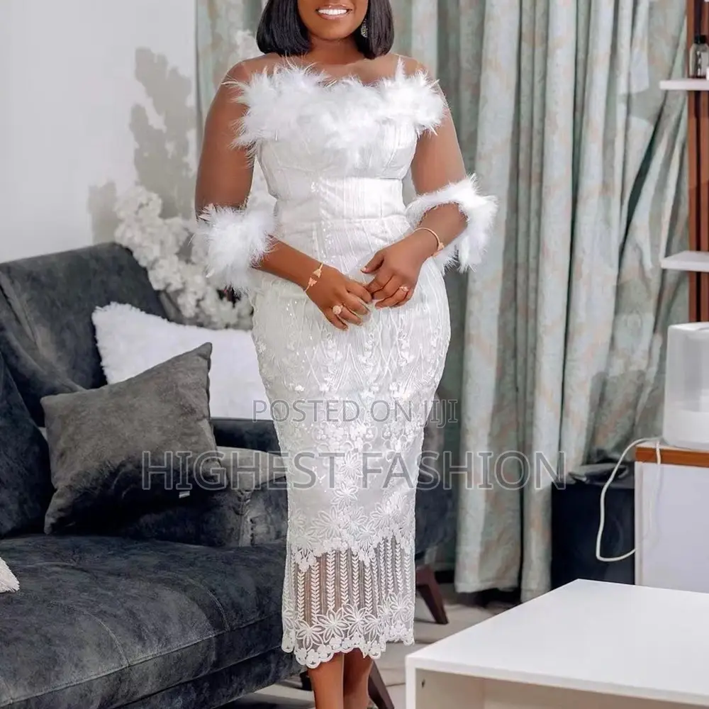 Net Sleeve Lace Dress