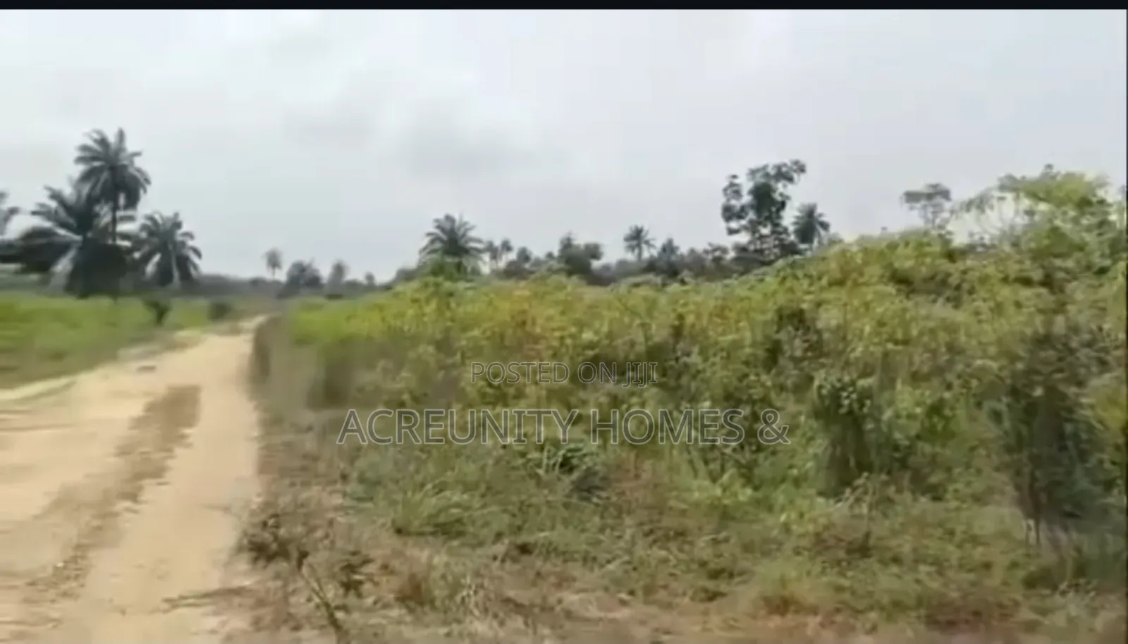 1400 Acres of Farmland for Sale at Odo Ose Village, Ijio, Iwajowa Lg