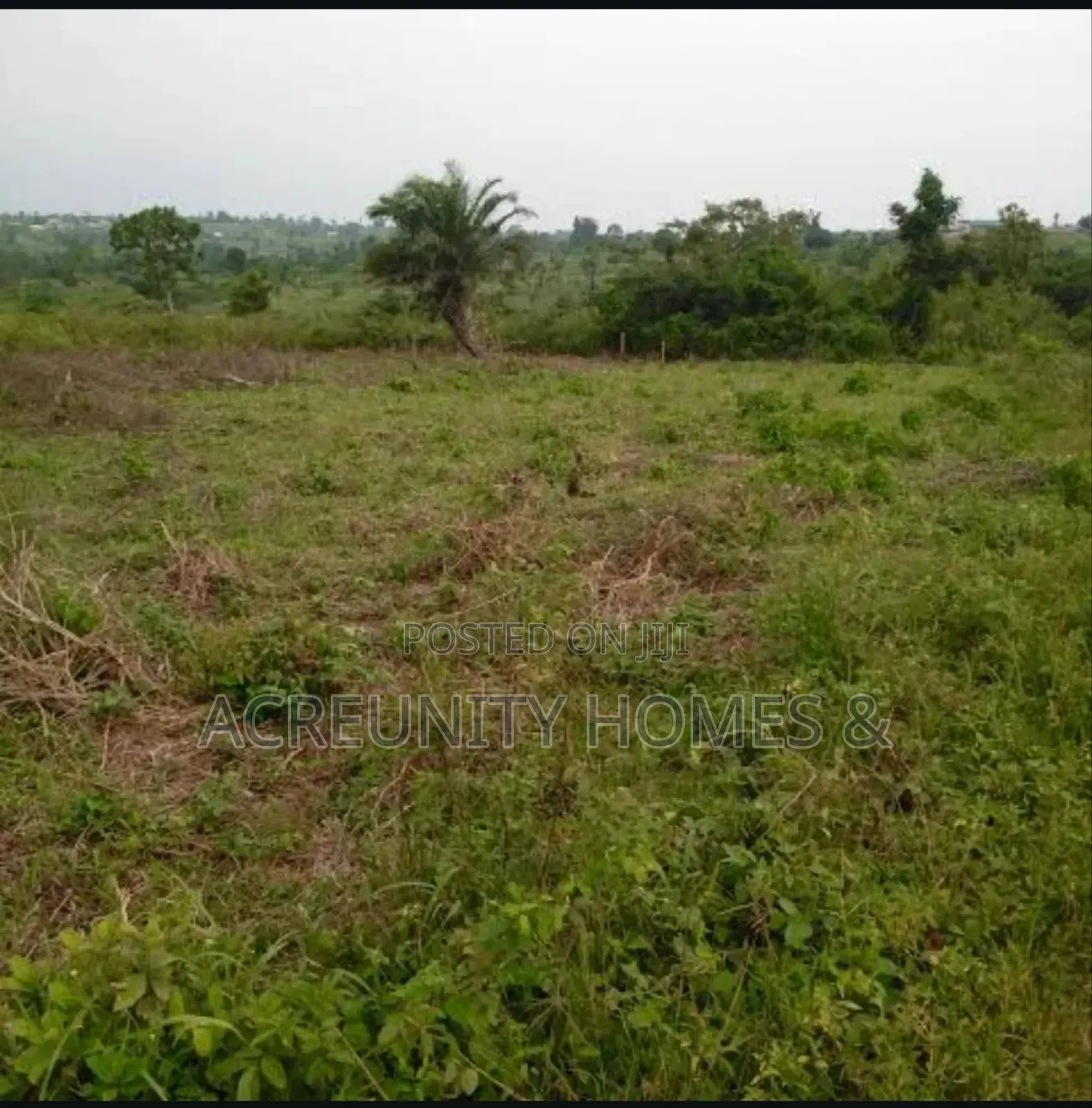 1400 Acres of Farmland for Sale at Odo Ose Village, Ijio, Iwajowa Lg